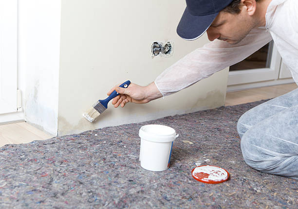 Painters edited damp walls Painter paints damp walls in an apartment with a special color spore photos stock pictures, royalty-free photos & images