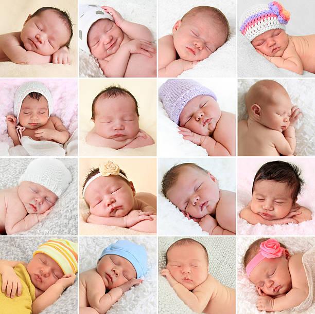 Newborn babies collage stock photo