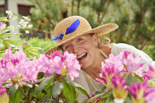 Senior woman laughing behind rhododendron flowers. She's wearing a straw hat with a blue feather in it.