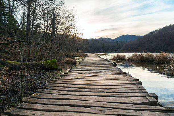istock Road in the forest at autumn 534832123