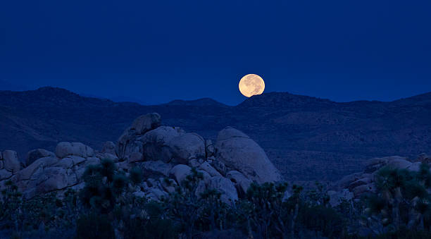 istock Super Moon Joshua Tree National Park 534833311