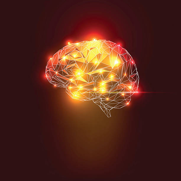 Abstract Human Brain Abstract Human Brain with Lights. Vector Illustration x ray results stock illustrations
