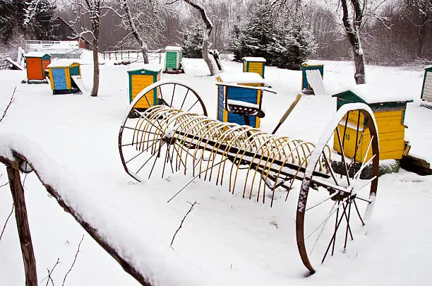 Photo of snowy horse drawn  rake and beehive in winter farm garden