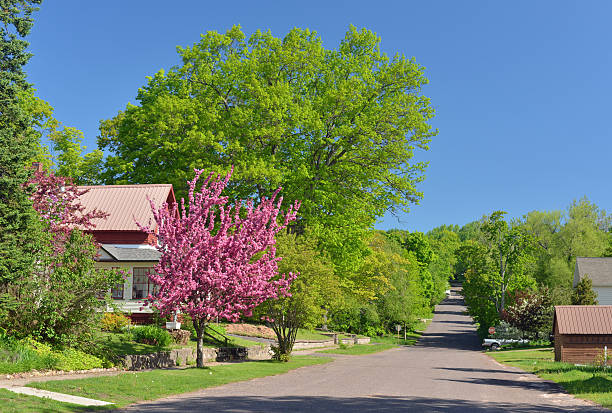 istock Spring in small city, USA 534848495
