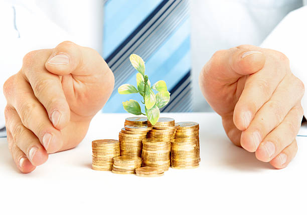 Safe place for money Businessman holding plant sprouting from a handful of coins - good investment and money concept cash value life insurance policies stock pictures, royalty-free photos & images