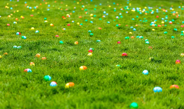 A spring meadow with Easter eggs hidden in the grass