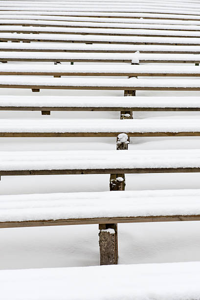istock abstract wooden lines and textures in winter 534862385