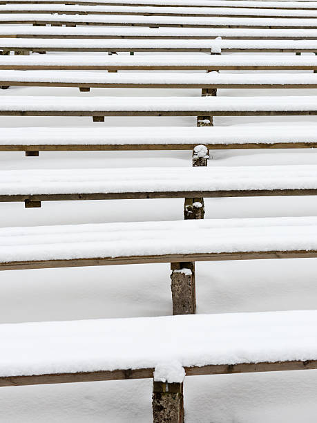 istock abstract wooden lines and textures in winter 534862387