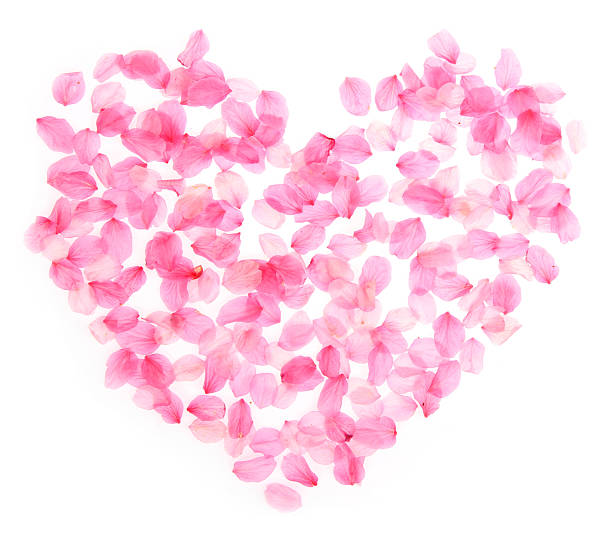 istock Pink cherry blossom heart 534863109