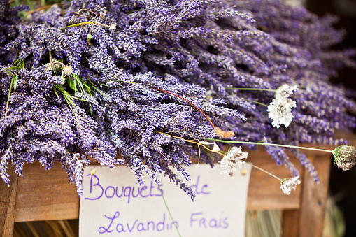 Lavender bunches selling in an outdoor french market. Horizontal shot with selective focus