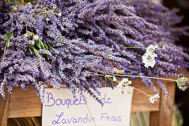 Lavender bunches selling in an outdoor french market stock photo