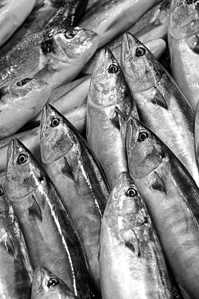 istock Fish market. Bonito and sea bream. 534879688