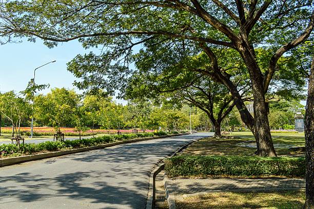 istock road in nature garden 534887121