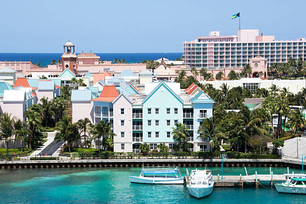 istock Living in Paradise 534888909