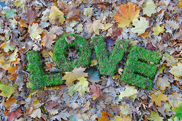 istock Words LOVE on autumn background. Floristics. 534889115