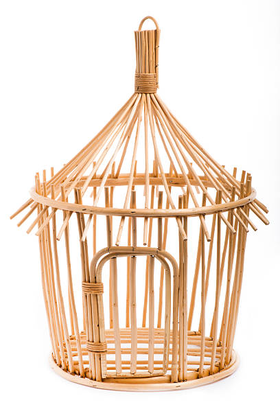 istock Light wooden bird cage on white background 534893633