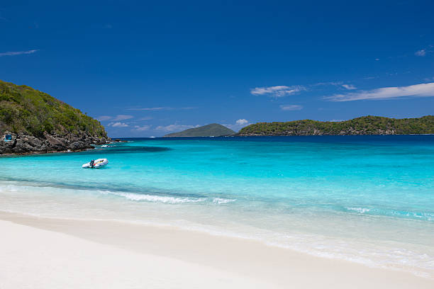 istock beautiful beach at Coki Bay in St.Thomas, US Virgin Islands 534895195