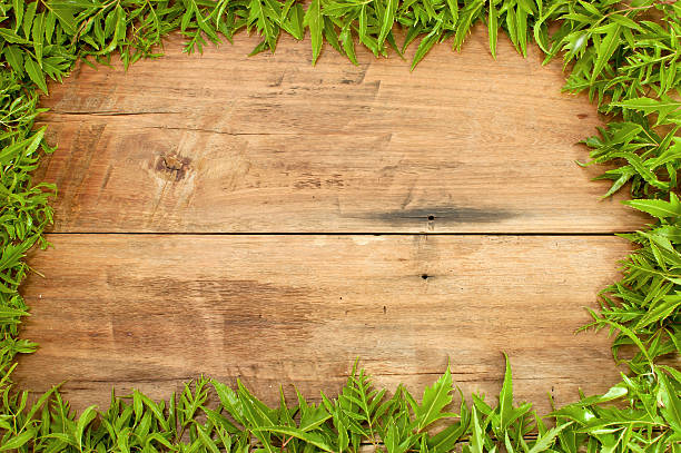 istock Frame is made of leaves 534895531