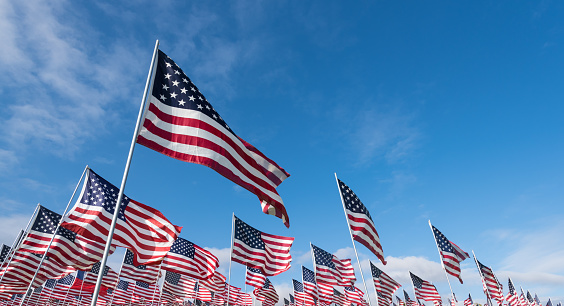 A field of hundreds of American flags.  Commemorating veteran's day, memorial day or 9/11.