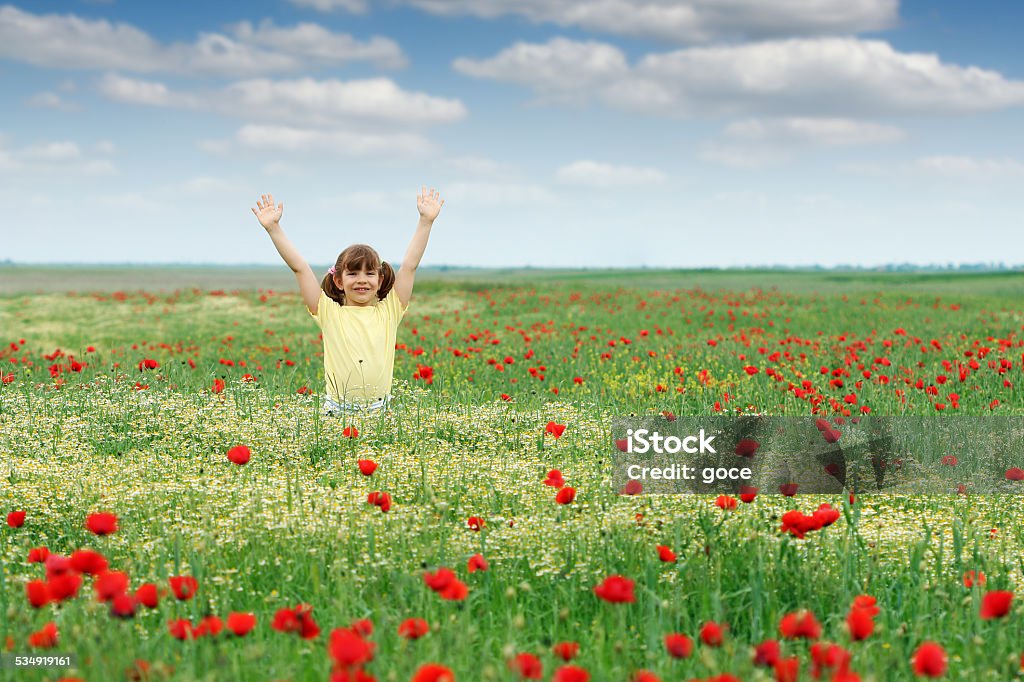 Glückliches kleines Mädchen auf der Wiese im Frühling - Lizenzfrei 2015 Stock-Foto