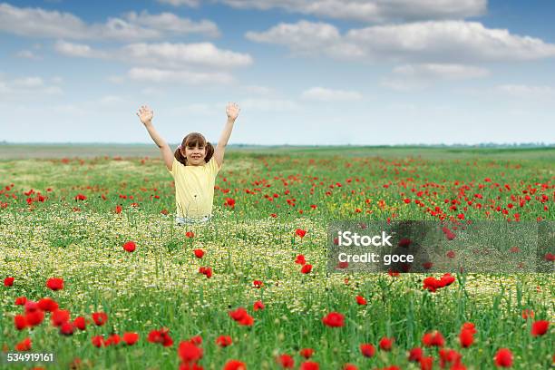 Glückliches Kleines Mädchen Auf Der Wiese Im Frühling Stockfoto und mehr Bilder von 2015