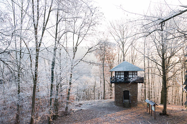 istock Germany, Rhineland-Palatinate, viewing tower and forest in winter 534919673
