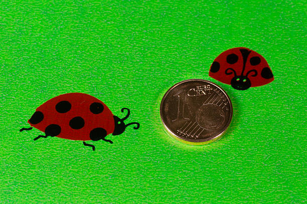 Greeting card with ladybirds and cent coins