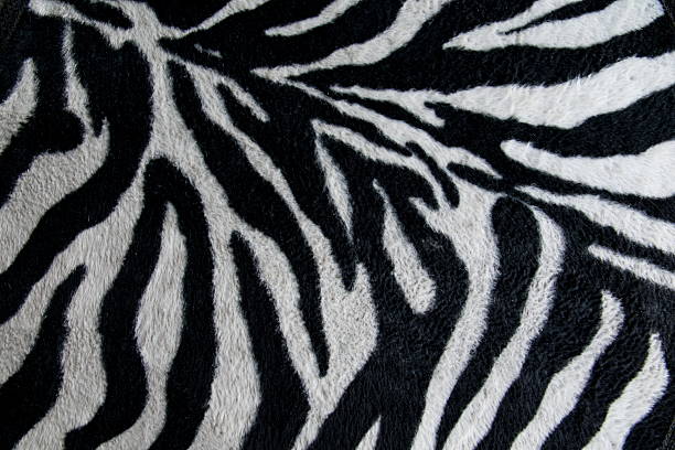 istock texture of print fabric stripes zebra for background 534923265