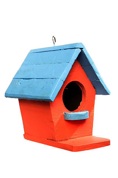 istock colorful bird house isolated on white background. 534923657