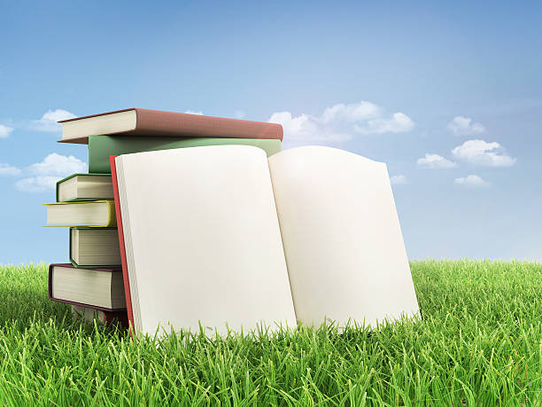 istock Stack of books and open book on the grass. 534924519