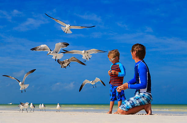 istock father and son feeding seagulls on beach 534925563