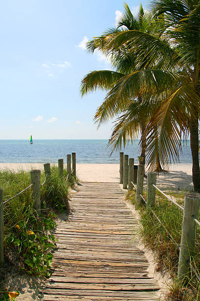 istock Jetty to the beach 534925673