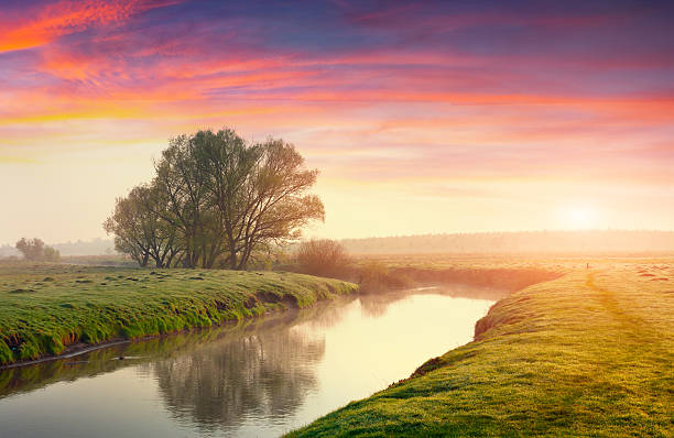 istock Colorful summer sunrise on the river 534925845