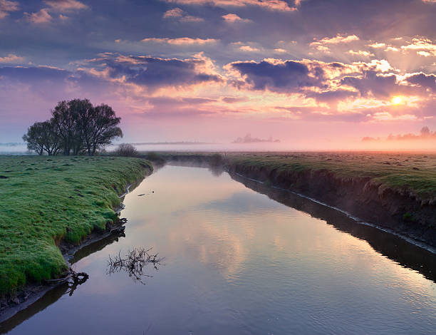 istock Colorful summer sunrise on the river 534926411