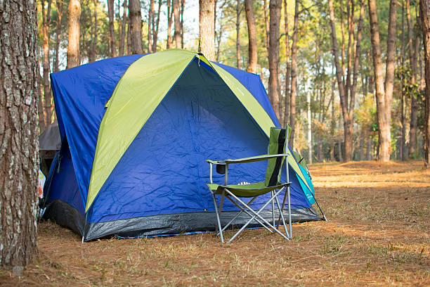 istock Colorful tents on camping 534943961