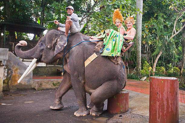 istock couple riding and traveling on an elephant 534944525