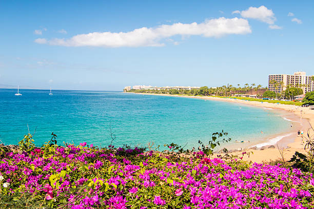 istock Tropical Island Paradise 534944537