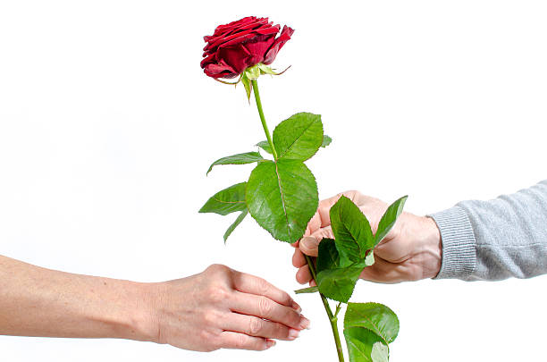 istock Man offering a red rose to a woman 534972197