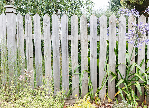 istock Wooden fence 534972583