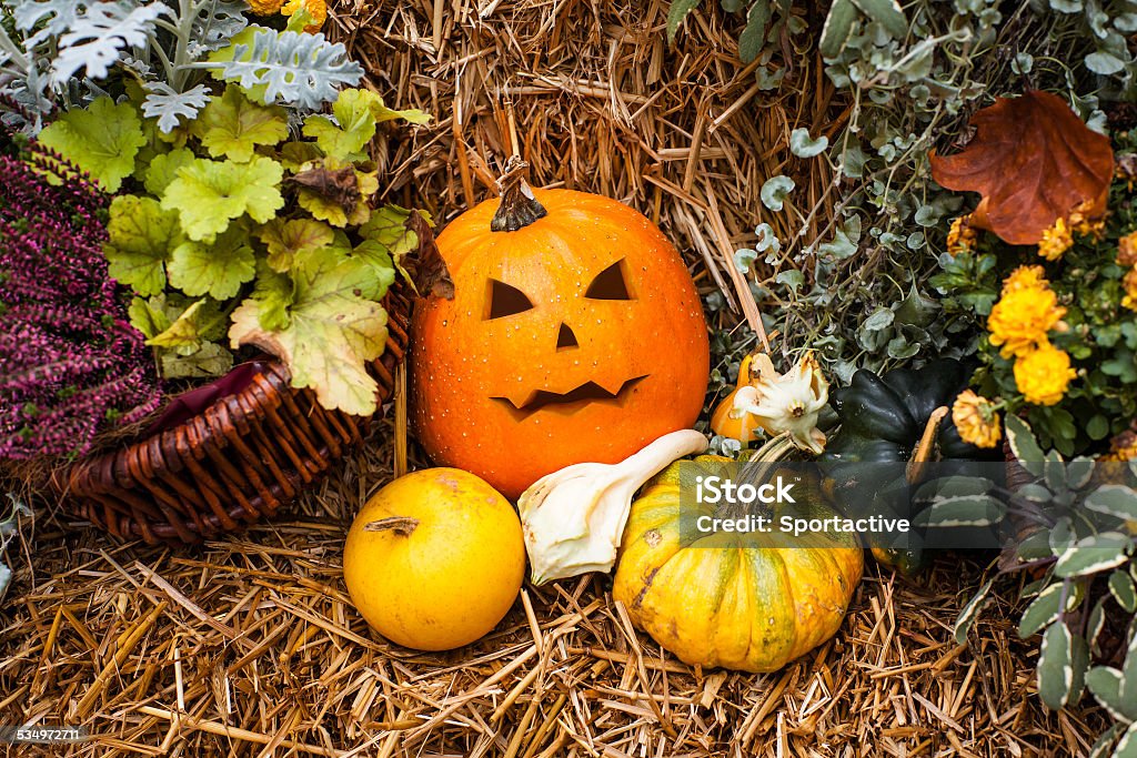 Halloween decoration with pumpkins Halloween ornament with a jack-o-lantern 2015 Stock Photo