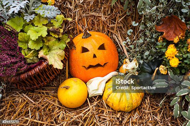 Halloween Decoration With Pumpkins Stock Photo - Download Image Now - 2015, Autumn, Celebration