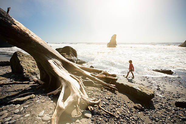 Little girl playing with the waves at Ruby Beach in Olympic National Park. Washington State. USA.