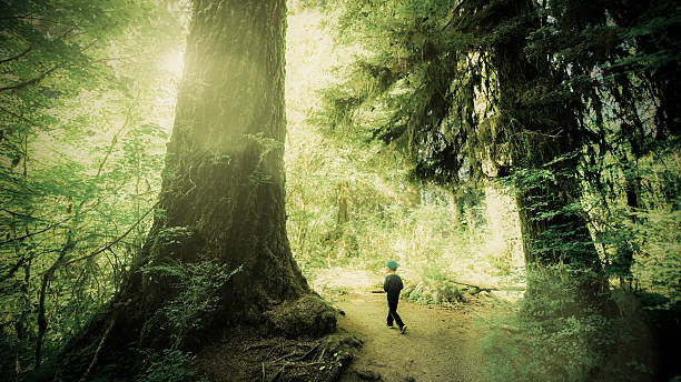 Little Boy at Olympic National Park