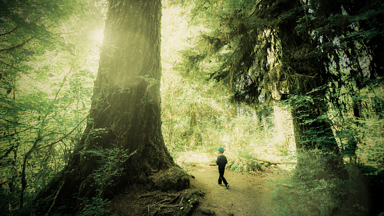 Little Boy entering Hoh Rainforest at Olympic National Park in Washington State. USA.