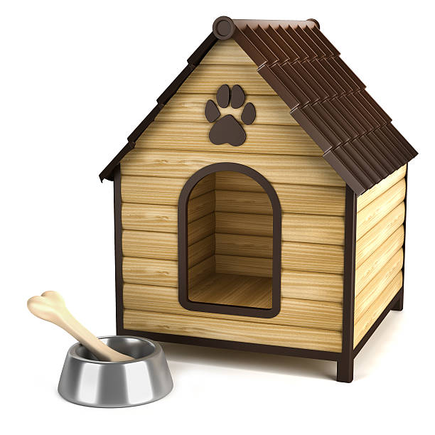 istock Kennel. Doghouse and bone in bowl 534976821