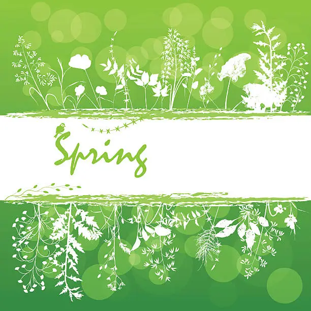 Vector illustration of spring banner