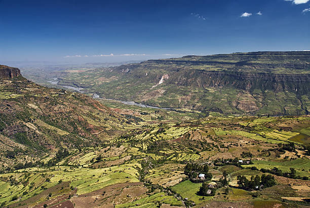 Rift valley Rural area with cultivated fields in the Rift Valley in Ethiopia  near Debre Libanos east africa stock pictures, royalty-free photos & images