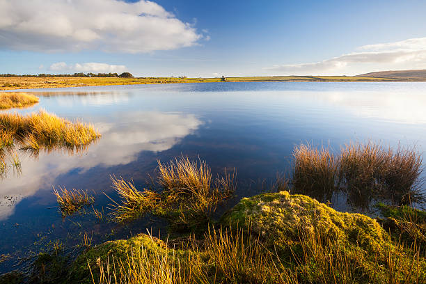 dozmary basen cornwall anglia - bodmin moor zdjęcia i obrazy z banku zdjęć