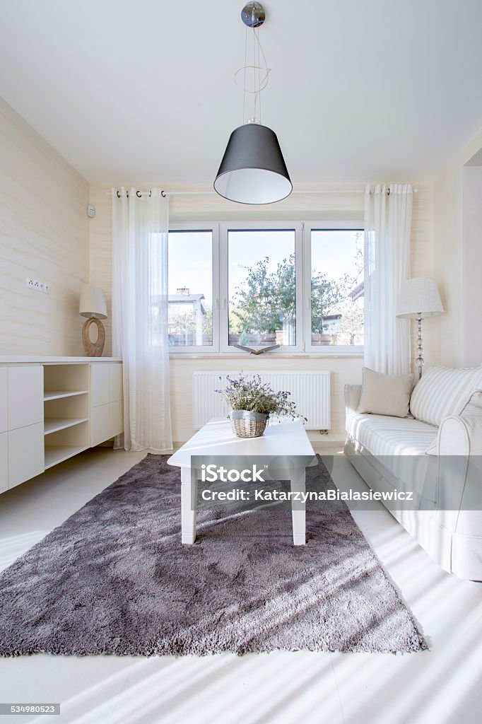 Bright living room with dark carpet Bright, modern living room with dark carpet 2015 Stock Photo