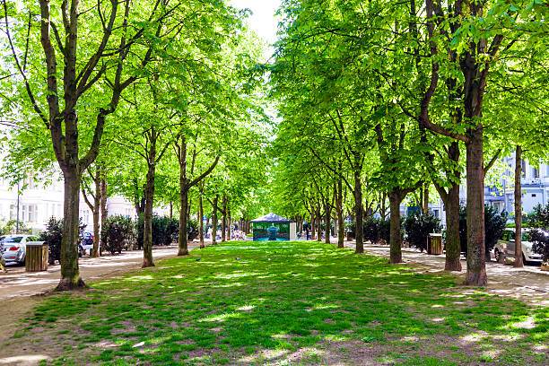 istock park at Adolfsallee with fountain 535008375